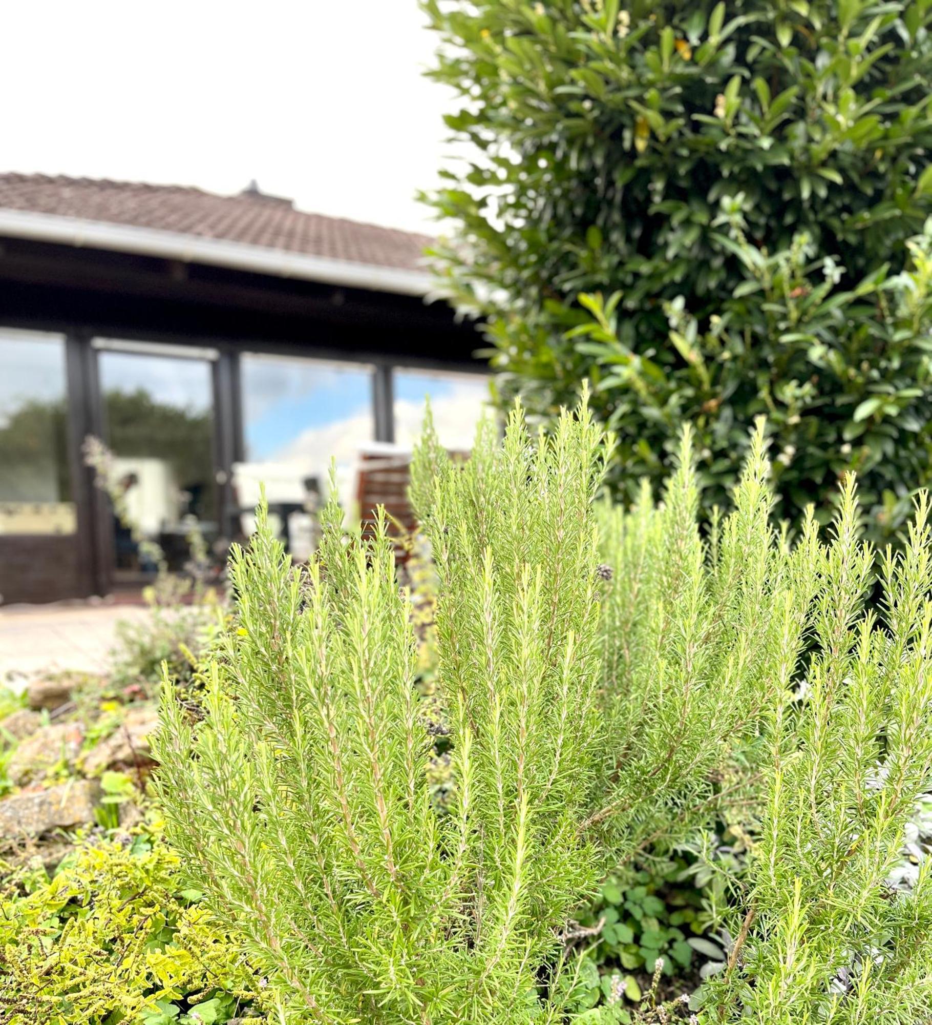 Ferienhaus Weinbergblick - Nahe Wuerzburg - 2 Schlafzimmer - Familienfreundlich - Terrasse Unterleinach Buitenkant foto