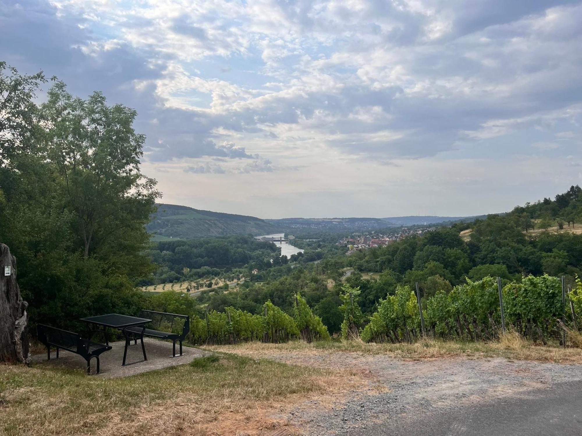 Ferienhaus Weinbergblick - Nahe Wuerzburg - 2 Schlafzimmer - Familienfreundlich - Terrasse Unterleinach Buitenkant foto
