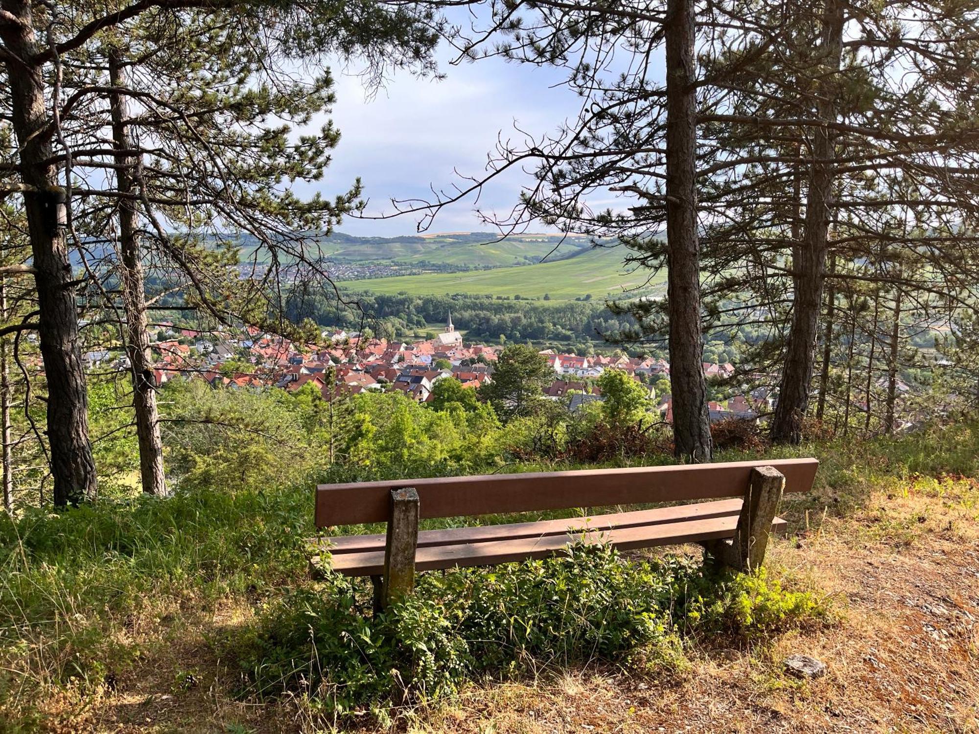 Ferienhaus Weinbergblick - Nahe Wuerzburg - 2 Schlafzimmer - Familienfreundlich - Terrasse Unterleinach Buitenkant foto
