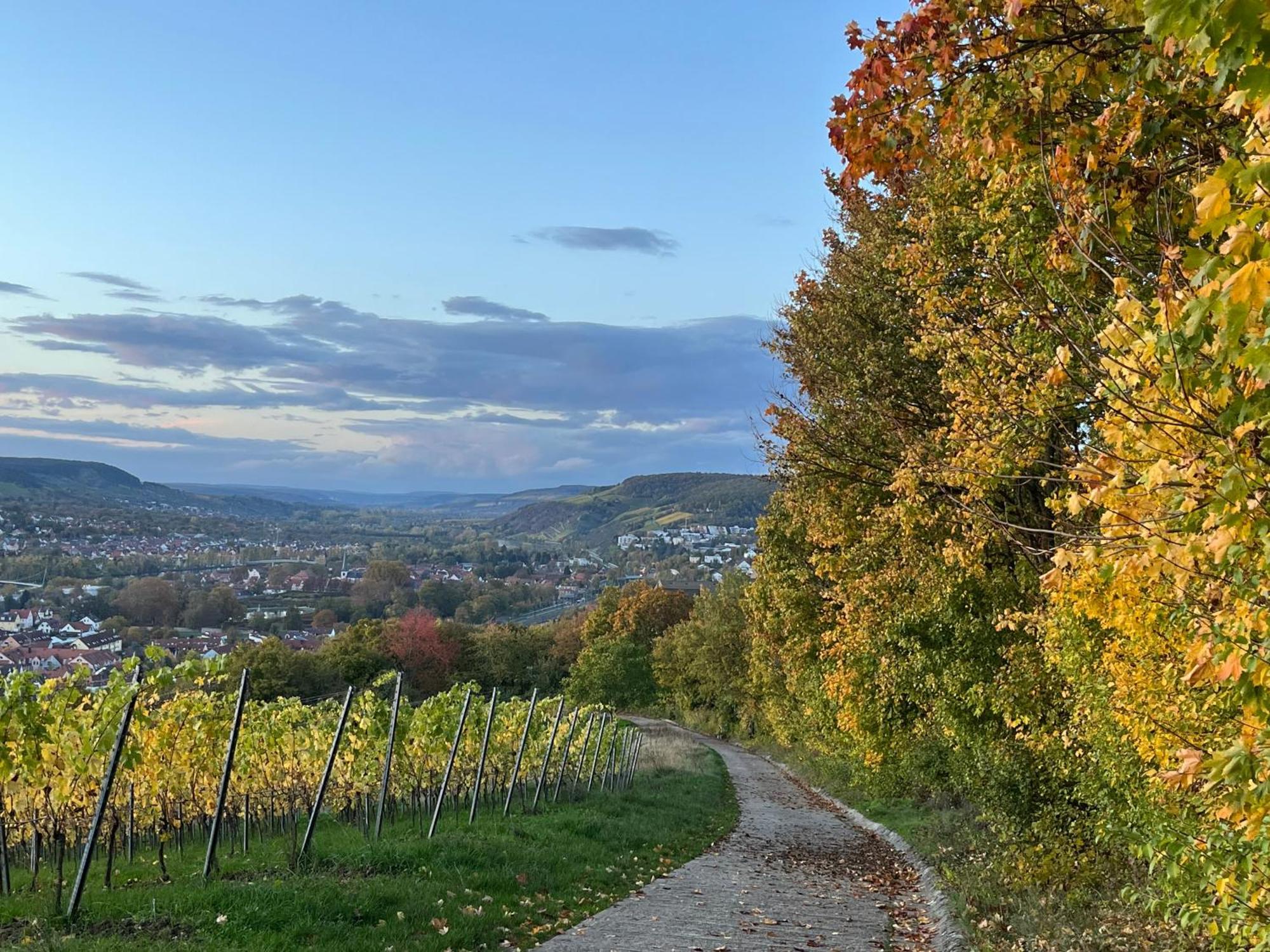 Ferienhaus Weinbergblick - Nahe Wuerzburg - 2 Schlafzimmer - Familienfreundlich - Terrasse Unterleinach Buitenkant foto